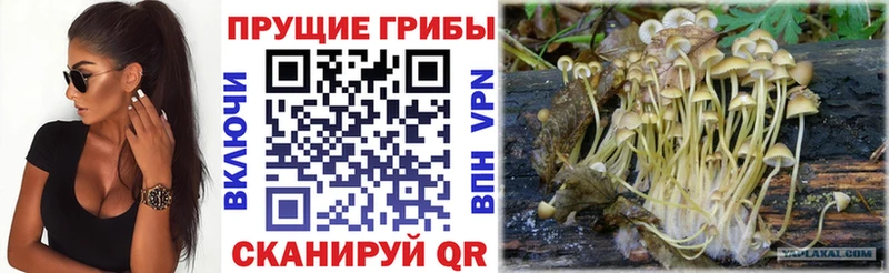 Галлюциногенные грибы мицелий  Купить закладки  Кукмор 